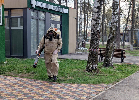 В Иванове очистили от клещей все городские парки 